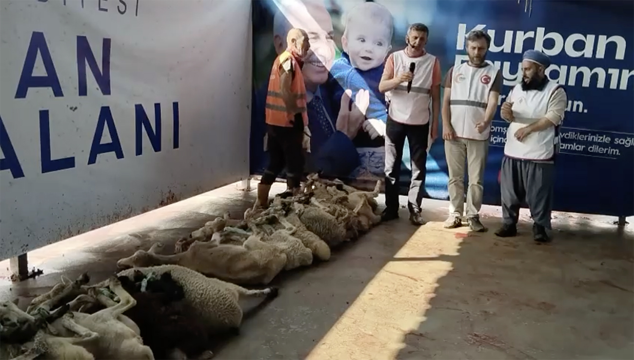 Ümraniye Minibüsçüler Esnaf Odası’ndan Anlamlı Kurban Bağışı: Şehit ve Gazi Aileleri ile İhtiyaç Sahiplerine Destek